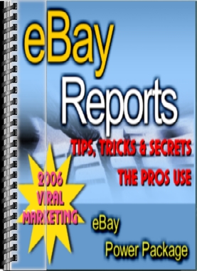 ebay-reports4